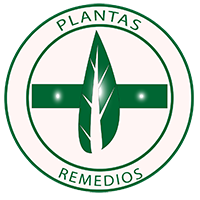 Plantas y remedios